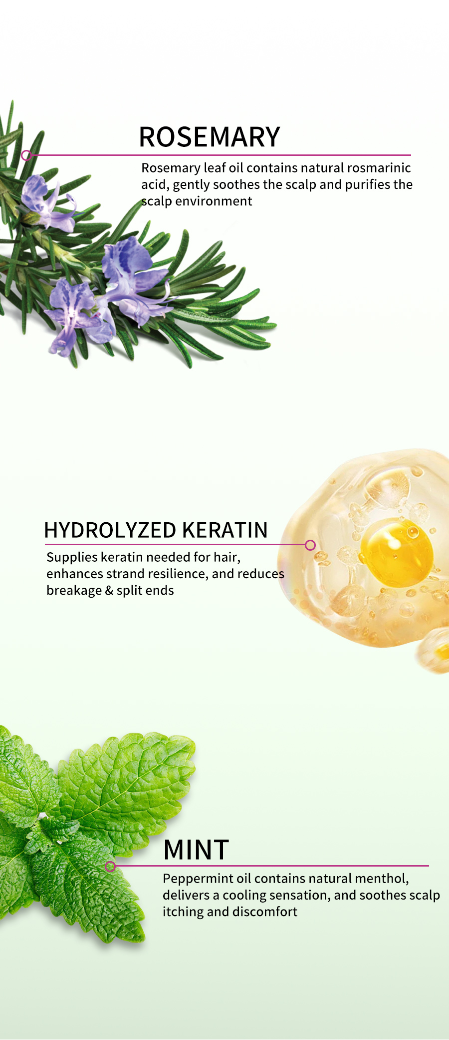 GreenLem ROSEMARY PEPPERMINT CLARIFYING HAIRCONDITIONER Strengthening Nourishing Refreshing Shampoo Natural Hair(pic4)