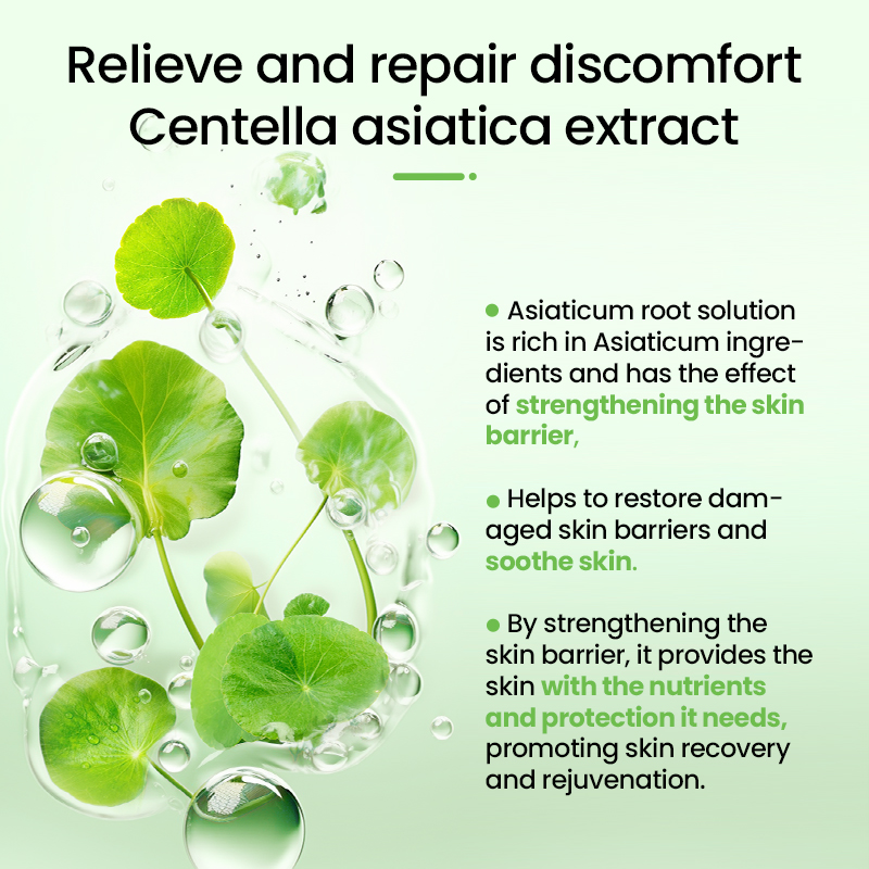 OEM/ODM Customized Korean Cica Centella Asiica Serum for Soothing Repair(pic4)