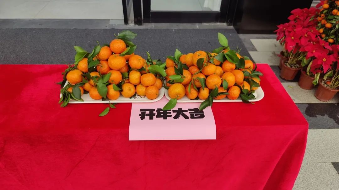 Construction is well underway |2023“"mao" is full of energy and "rabbit" is making rapid progress(pic3) Construction is well underway |2023“"mao" is full of energy and "rabbit" is making rapid progress(pic3)