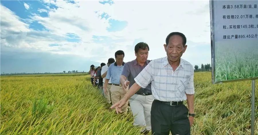 remember mr. yuan with craftsmanship·create quality products with love and wisdom(pic9) remember mr. yuan with craftsmanship·create quality products with love and wisdom(pic9)