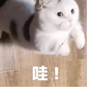 DAAO cosmetics OEM:product eye drops-grade makeup remover, making makeup cleaner with eyes open(pic7)