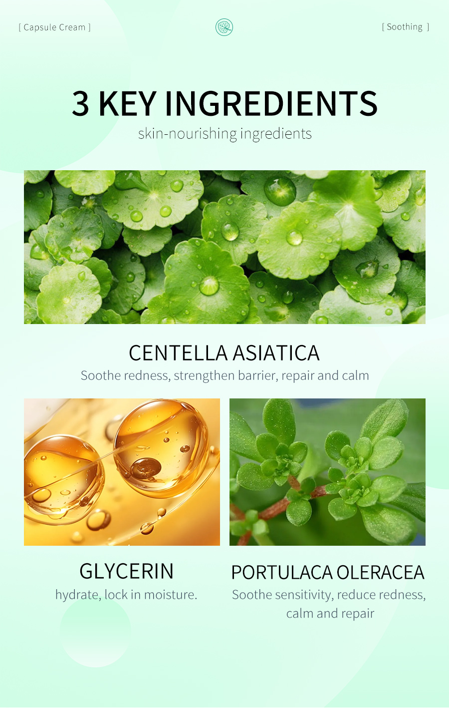 OEM Matcha Capsule Cream Face Moisturizer Age Defying Antioxidant for All Skin Types Hydrating Firming Brightening(pic4)