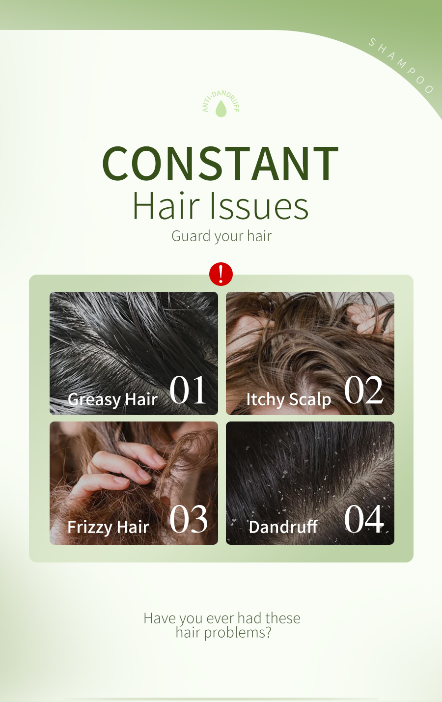 OEM Dandruff Control Shampoo Natural Koelreuteria Flower & Ganoderma Extract Soothing Scalp Care for Dry Itchy Scalp(pic2)