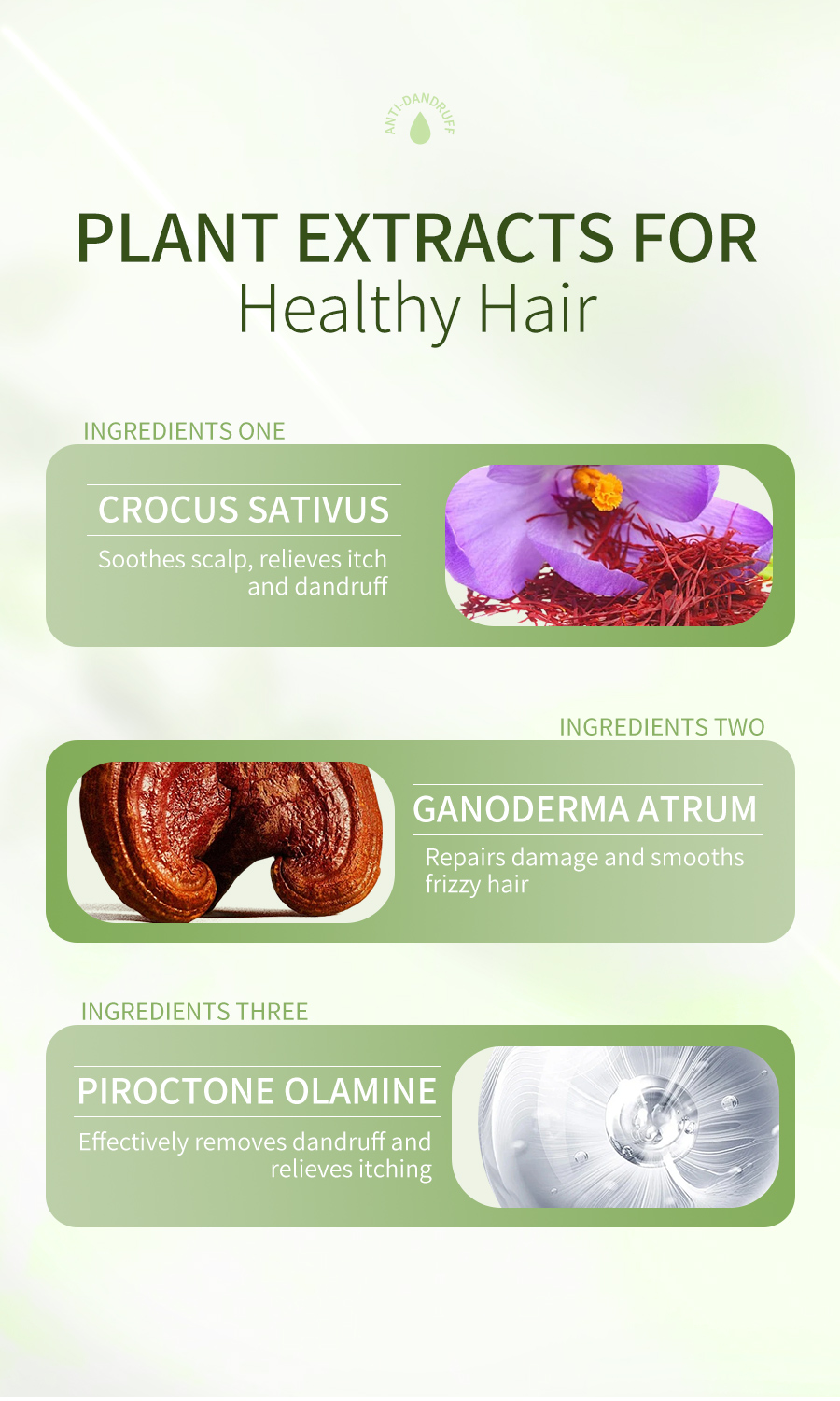 OEM Dandruff Control Shampoo Natural Koelreuteria Flower & Ganoderma Extract Soothing Scalp Care for Dry Itchy Scalp(pic4)